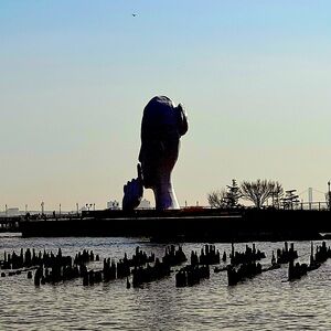 Meet your Posher, Anne